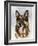 German Shepherd-Barbara Keith-Framed Giclee Print