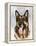 German Shepherd-Barbara Keith-Framed Premier Image Canvas