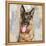 German Shepherd-Keri Rodgers-Framed Stretched Canvas