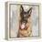 German Shepherd-Keri Rodgers-Framed Stretched Canvas