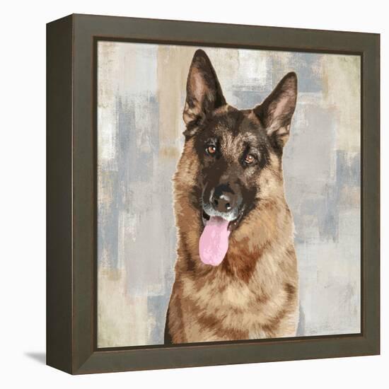 German Shepherd-Keri Rodgers-Framed Stretched Canvas