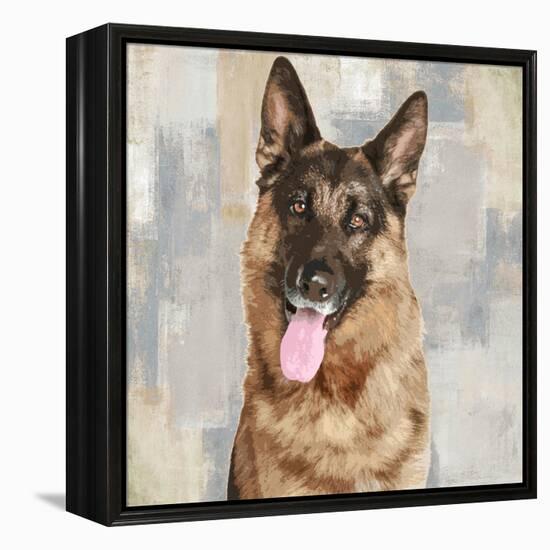 German Shepherd-Keri Rodgers-Framed Stretched Canvas