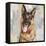 German Shepherd-Keri Rodgers-Framed Stretched Canvas