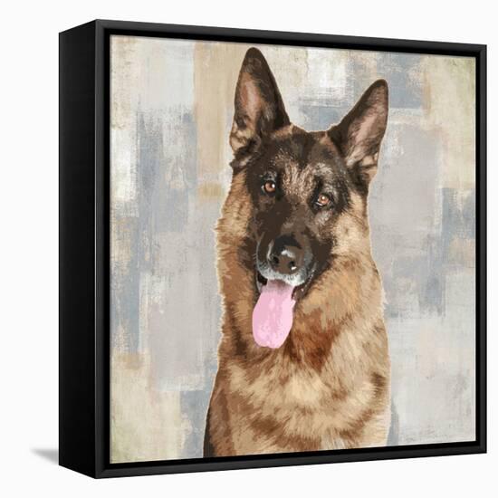 German Shepherd-Keri Rodgers-Framed Stretched Canvas