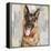 German Shepherd-Keri Rodgers-Framed Stretched Canvas