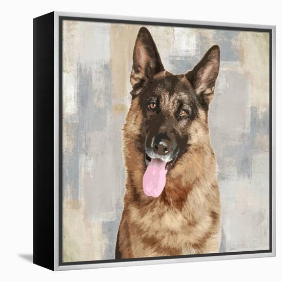 German Shepherd-Keri Rodgers-Framed Stretched Canvas