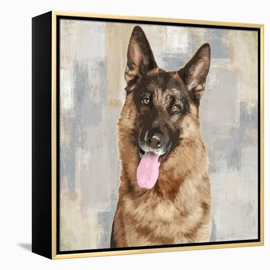 German Shepherd-Keri Rodgers-Framed Stretched Canvas