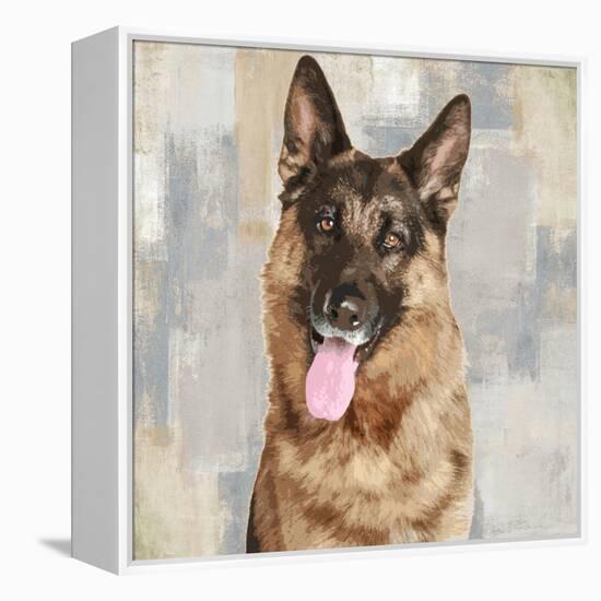 German Shepherd-Keri Rodgers-Framed Stretched Canvas