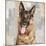 German Shepherd-Keri Rodgers-Mounted Art Print