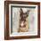 German Shepherd-Keri Rodgers-Framed Art Print