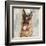 German Shepherd-Keri Rodgers-Framed Art Print