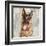 German Shepherd-Keri Rodgers-Framed Art Print