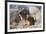 German Shepherds at desert park-Zandria Muench Beraldo-Framed Premium Photographic Print