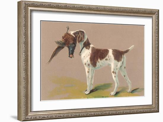 German Short-Haired Pointer with Pheasant-null-Framed Art Print