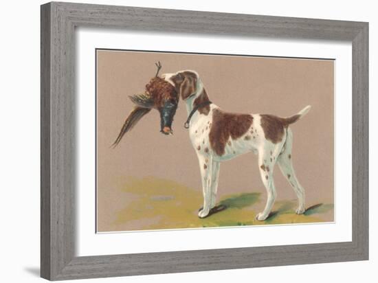 German Short-Haired Pointer with Pheasant-null-Framed Art Print