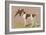 German Short-Haired Pointer with Pheasant-null-Framed Art Print