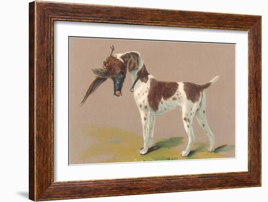 German Short-Haired Pointer with Pheasant-null-Framed Art Print