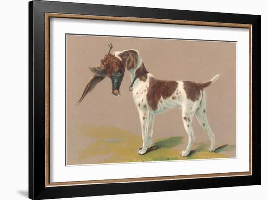 German Short-Haired Pointer with Pheasant-null-Framed Art Print