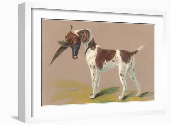 German Short-Haired Pointer with Pheasant-null-Framed Art Print