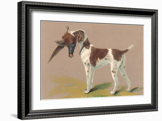 German Short-Haired Pointer with Pheasant-null-Framed Art Print