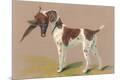 Premium Giclee Print
