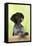 German Shorthaired Pointer Looking over a Fence-null-Framed Premier Image Canvas