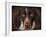 German Shorthaired Pointer Portrait-Jai Johnson-Framed Giclee Print