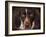 German Shorthaired Pointer Portrait-Jai Johnson-Framed Giclee Print