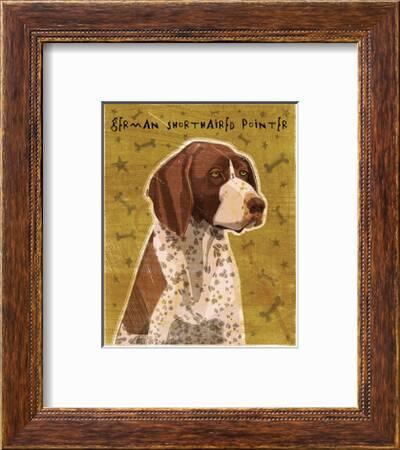 German Shorthaired Pointer Art Print By John W Golden Art Com