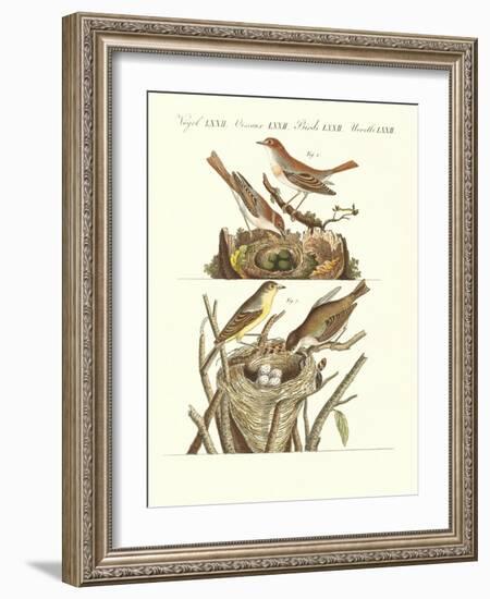 German Singing Birds-null-Framed Giclee Print