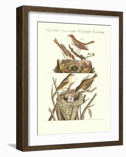 German Singing Birds-null-Framed Giclee Print