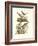 German Singing Birds-null-Framed Giclee Print