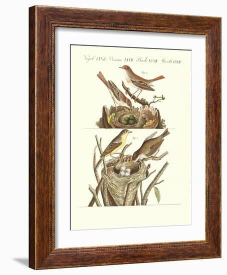 German Singing Birds-null-Framed Giclee Print