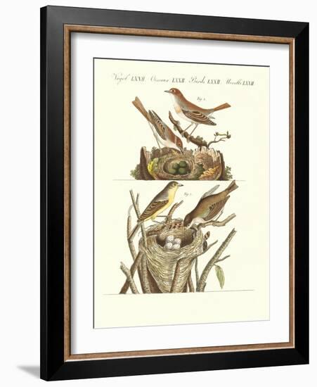 German Singing Birds-null-Framed Giclee Print