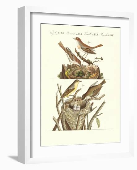 German Singing Birds-null-Framed Giclee Print