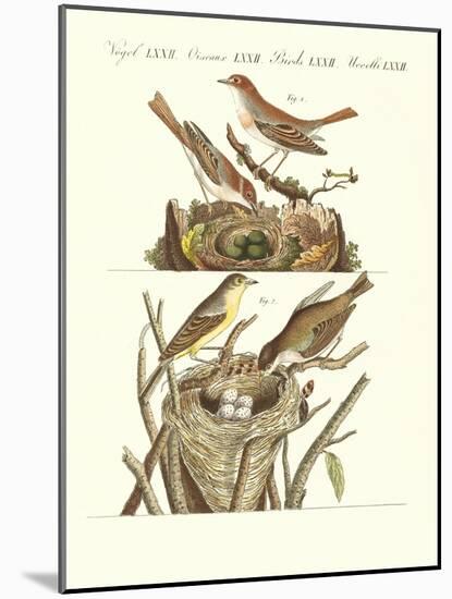 German Singing Birds-null-Mounted Giclee Print