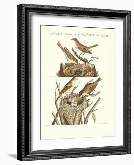 German Singing Birds-null-Framed Giclee Print