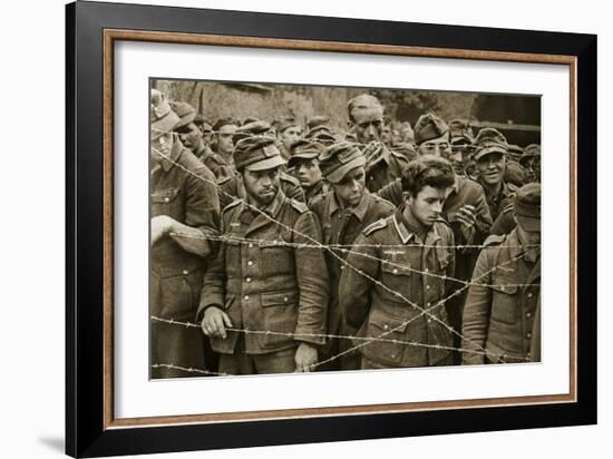 German Soldiers Captured after the Fighting at Mortain and Falaise, 1944-English Photographer-Framed Giclee Print