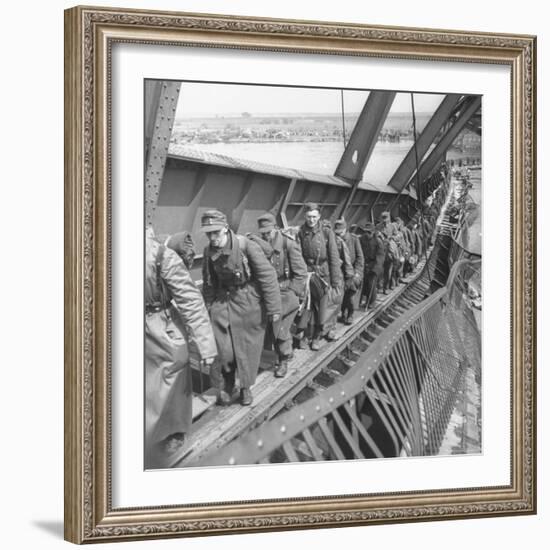 German Soldiers Walk over Elbe River to Surrender to Allied Forces in the Waning Days of WWII-William Vandivert-Framed Photographic Print