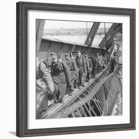 German Soldiers Walk over Elbe River to Surrender to Allied Forces in the Waning Days of WWII-William Vandivert-Framed Photographic Print