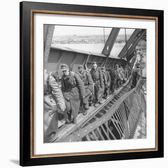 German Soldiers Walk over Elbe River to Surrender to Allied Forces in the Waning Days of WWII-William Vandivert-Framed Photographic Print