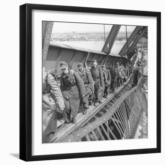 German Soldiers Walk over Elbe River to Surrender to Allied Forces in the Waning Days of WWII-William Vandivert-Framed Photographic Print