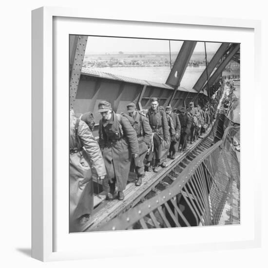 German Soldiers Walk over Elbe River to Surrender to Allied Forces in the Waning Days of WWII-William Vandivert-Framed Photographic Print