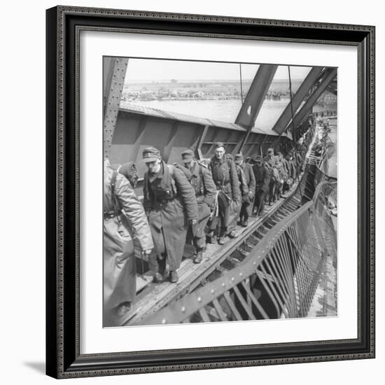 German Soldiers Walk over Elbe River to Surrender to Allied Forces in the Waning Days of WWII-William Vandivert-Framed Photographic Print