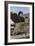 German Tank Commander-Unsere Wehrmacht-Framed Photographic Print