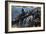 German Tank Fording a River, Russia, 1941-null-Framed Giclee Print