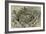 German Troops Attacking French Front Line-null-Framed Giclee Print
