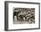 German war materiel destroyed under the terms of the Armistice, c1918-c1919(?)-Unknown-Framed Photographic Print