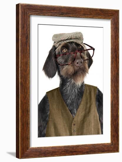 German Wire-Haired Pointer with Hat Glasses-null-Framed Photographic Print