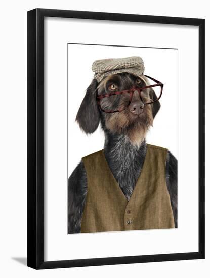 German Wire-Haired Pointer with Hat Glasses-null-Framed Photographic Print